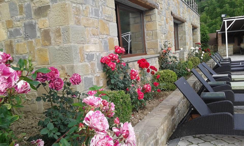 Johnny Hotel Kamenice Εξωτερικό φωτογραφία